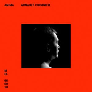 Anima - Arnault Cuisinier