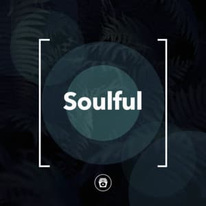 Soulful - Sounds Of Nature