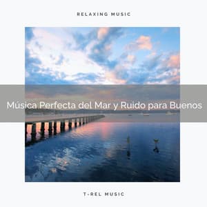 Música Perfecta del Mar y Ruido para Buenos - Ruido Blanco