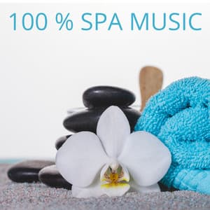 100% Spa Music - Wellness