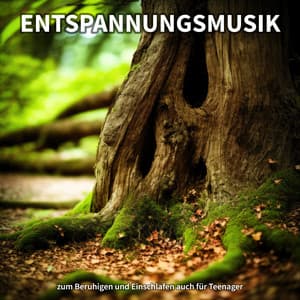 Entspannungsmusik zum Beruhigen und Einschlafen auch für Teenager - Lernmusik