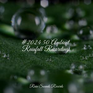 #2024 50 Ambient Rainfall Recordings - Anxiety Relief