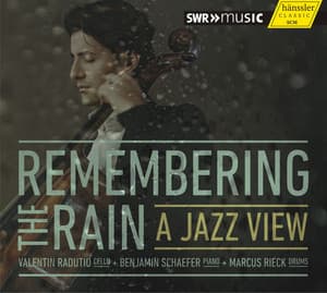 Remembering the Rain - Valentin Radutiu