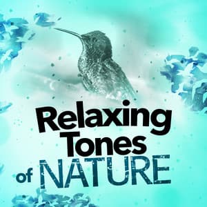 Relaxing Tones of Nature - Relaxing Nature Ambience