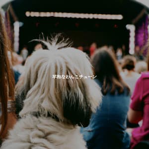 平和なわんこチューン - Hotel Jazz Deluxe