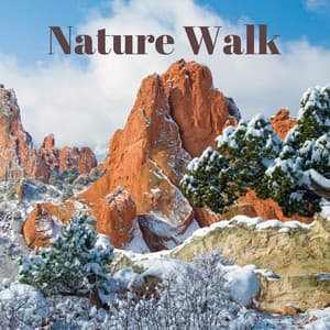 Nature Walk - Rain Sound Plus