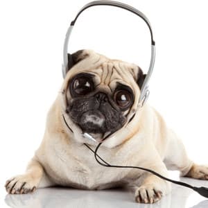 Music For Dog Sleep: Dreamy Doggie Dreams - Dreamy Thoughts