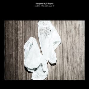 What If They Both Could Fly - Evan Parker
