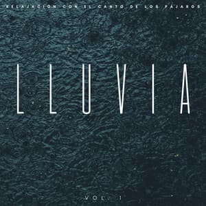 Lluvia: Relajación Con El Canto De Los Pájaros Vol. 1 - Sueños tormentosos (lluvia)