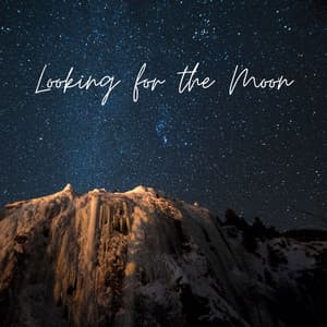 Looking for the Moon - Ocean Sounds ACE