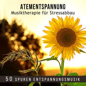 Atementspannung: Musiktherapie für Stressabbau - 50 Spuren Entspannungsmusik und Naturgeräusche zum Meditieren, Wege in die Entspannung, Tiefenentspannung und Einschlafen, Yoga Musik - Entspannungsmusik Oase
