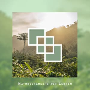 Naturgeräusche zum Lernen - Joyce Long