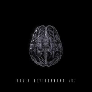 Brain Development 4 Hz - Meditation Healing Therapy