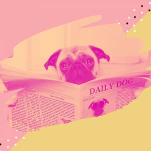 Simple Ambiance for Focused Puppy - Songs for Dogs to Sleep To