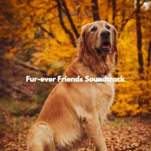 Fur-ever Friends Soundtrack - Restaurant Jazz Music Universe
