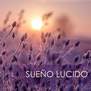 Sueño Lucido - Dormir Profundamente, la Mejor Ayuda para Dormir toda la Noche - Sueño Lucido
