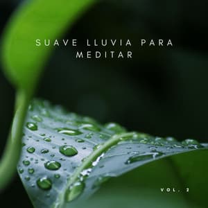 Suave Lluvia Para Meditar Vol. 2 - Meditación Con Ruido Blanco