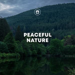 Peaceful Nature - Nature Sounds