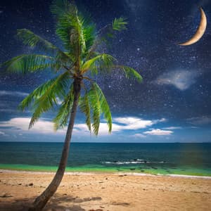 Aquatic Echoes: Relaxing Music Ocean Delight - Natural Song