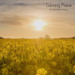 Calming Plains - Demonstrators of Calm