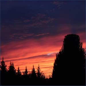 Wind Chimes - Carillons éoliens