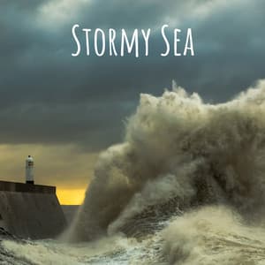 Stormy Sea - Elton Ames
