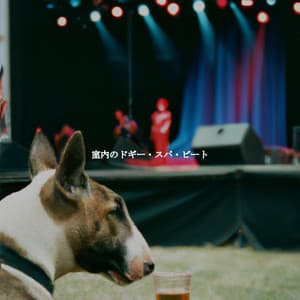 室内のドギー・スパ・ビート - French Cafe Jazz Chill