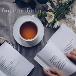 Escaping into Reading - Ambience and Zen