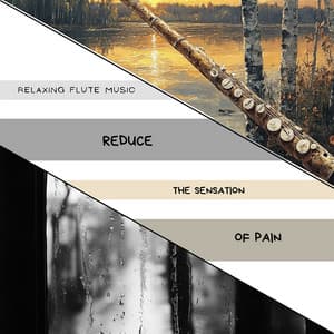 Reduce the Sensation of Pain - Relaxing Flute Music
