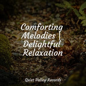 Comforting Melodies | Delightful Relaxation - Nature Sounds Artists