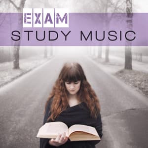 Exam Study Music: Train Your Brain with Famous Classical Composers - Stefan Ryterband