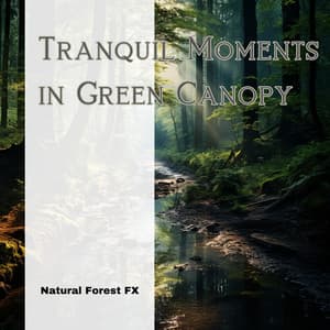 Tranquil Moments in Green Canopy - Natural Forest FX