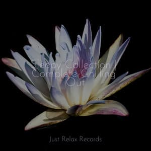 Sleepy Collection | Complete Chilling Out - Nature Sound Collection