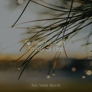 50 Powerful Rain Sounds to Loop - Japanese Relaxation and Meditation