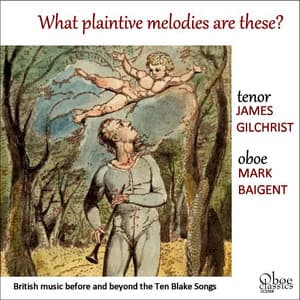 What plaintive melodies are these? - Mark Baigent