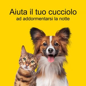 Aiuta il tuo cucciolo ad addormentarsi la notte - Animali Domestici Unità