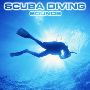 Scuba Diving Sounds - Scuba Diving Sounds