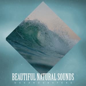 Beautiful Natural Sounds - Oceanografers