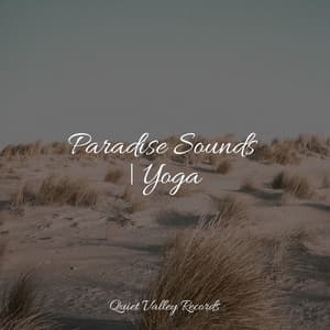 Paradise Sounds | Yoga - Rain Sounds Rain