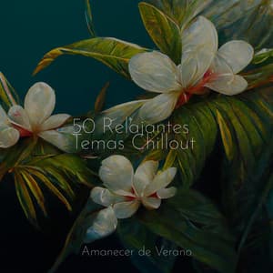 50 Relajantes Temas Chillout - Canción de Cuna