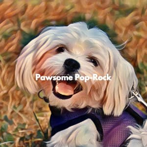 Pawsome Pop-Rock - Soft Cafe Lounge