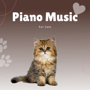 Piano Music For Cats - Pet Music Therapy