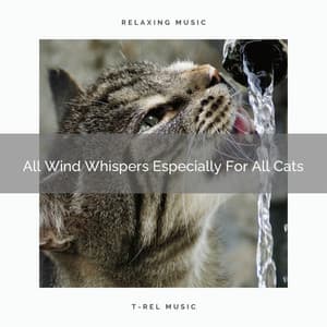 All Wind Whispers Especially For All Cats - Cat Total Relax