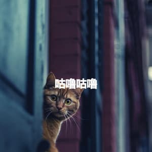 咕噜咕噜 - Smooth Jazz New York Collective