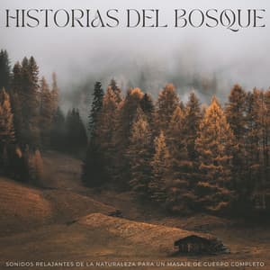 Historias Del Bosque: Sonidos Relajantes De La Naturaleza Para Un Masaje De Cuerpo Completo - Naturaleza y Sonidos Fondos