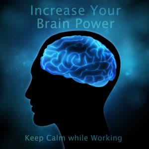 Increase Your Brain Power & Keep Calm while Working - Study Music 101