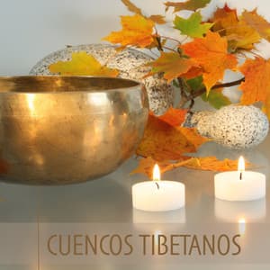 Cuencos Tibetanos - Musica Relajante de Meditacion y Sonido de las Campanas - Cuencos Tibetanos