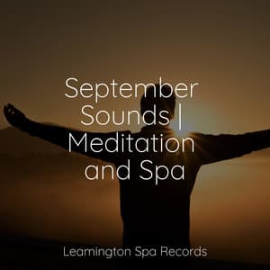 September Sounds | Meditation and Spa - Deep Sleep
