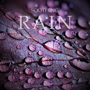 Soothing Rain - Sons de Chuva para Dormir