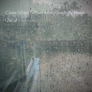 Calm Your Mind with Rainfall Sound Vol. 1 - The Rain Library